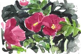 Beschreibung: Beschreibung: Beschreibung: image379