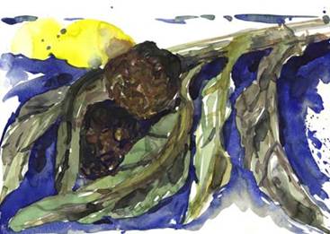 Beschreibung: Beschreibung: Beschreibung: image380