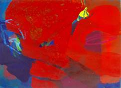 Beschreibung: Beschreibung: Beschreibung: Rot_1