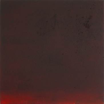 Beschreibung: Beschreibung: Rote%20flecken%202